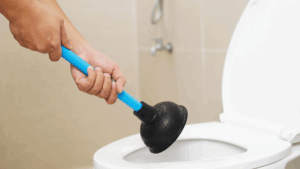 deboucher wc soi meme